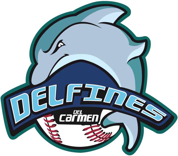 Carmen Delfines 2012-Pres Primary Logo iron on paper